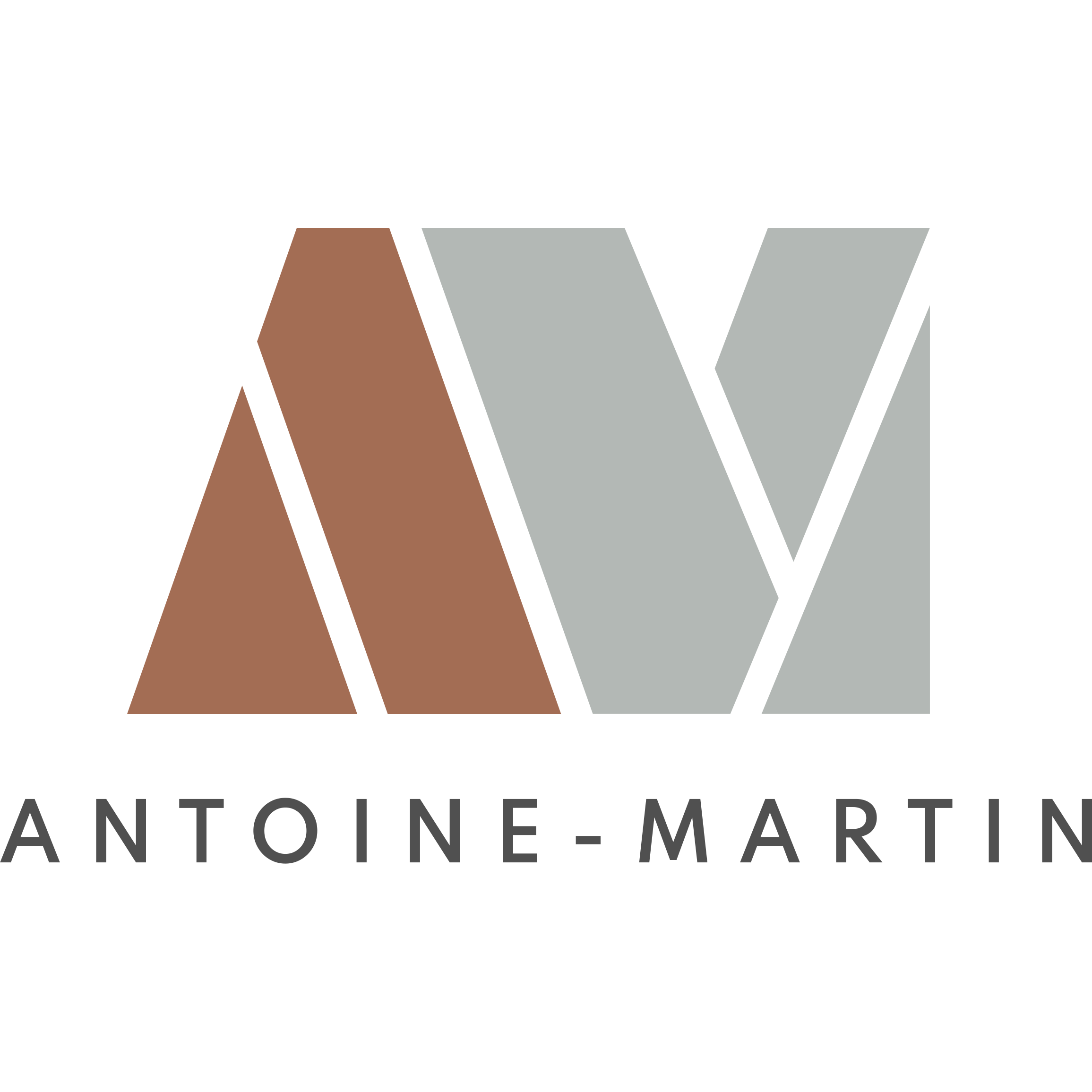 Antoine-Martin Logo